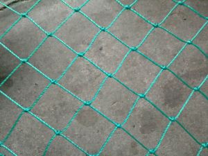 Netejat de pesca amb pintada PE